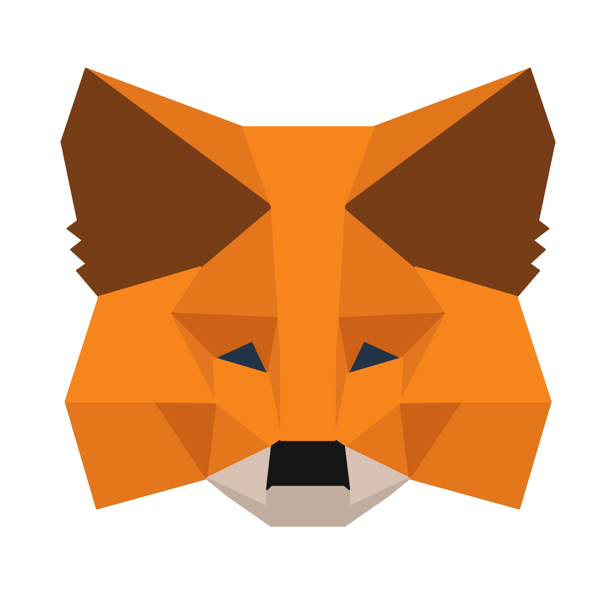 Wallet Icon